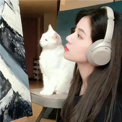 孔雀的羽毛 封面