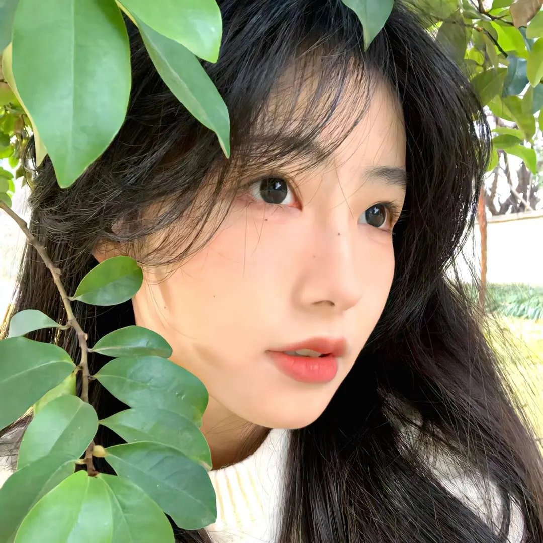 美丽诱惑 封面